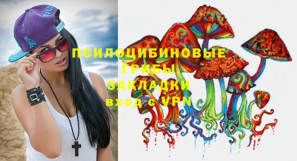 spice Бронницы