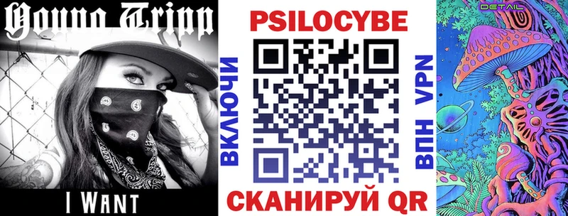 Галлюциногенные грибы Psilocybine cubensis Нелидово